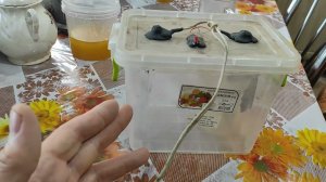 Живая и мертвая вода своими руками