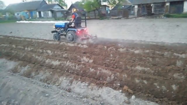 Слепое окучивание картофеля минитрактором амжк-8 смотреть онлайн