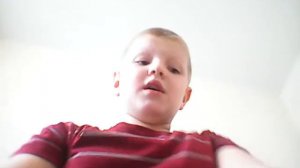 Паю песню лада приора