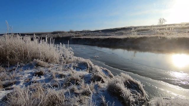 Первые заморозки, первый лед на реке и красота инея, релакс видео, музыка. 2.7K смотреть онлайн