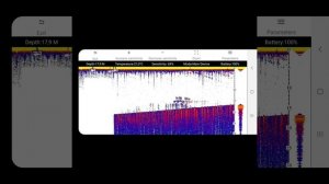 Как работает эхолот PowerVision PowerSeeker Fish Finder