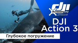 Osmo Action 3 - Глубокое погружение (на русском).mp4