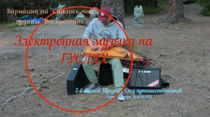 Электронная музыка на гуслях. 3-й Лесной Трезвый Сход путешественников. Санкт-Петербург.
