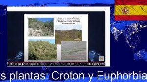 Sistemática y evolución de dos gigantes de plantas:  Crotón y  Euphorbia