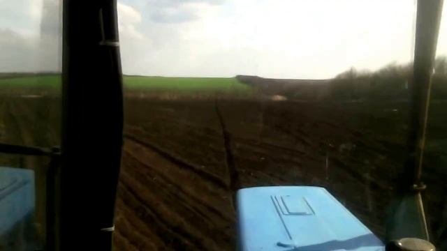 Сев подсолнечника МТЗ-82.1 \ Sowing Sunflower MTZ-82.1
