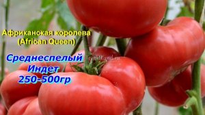 Семена от канала Садово-огородные будни