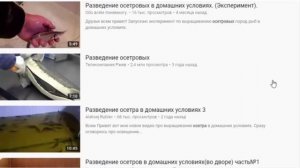 Бизнес идея с доходом от 100000 рублей в день