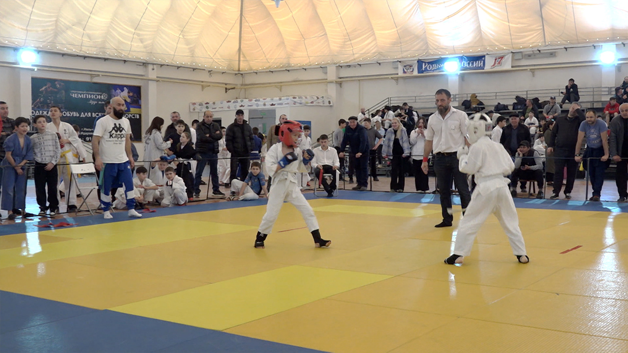 В Нальчике прошли межрегиональные первенство и чемпионат по зендокай Будо карате смотреть онлайн