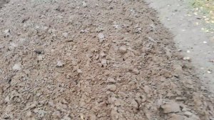 Вспашка минитрактором из мотоблока Мтз 12