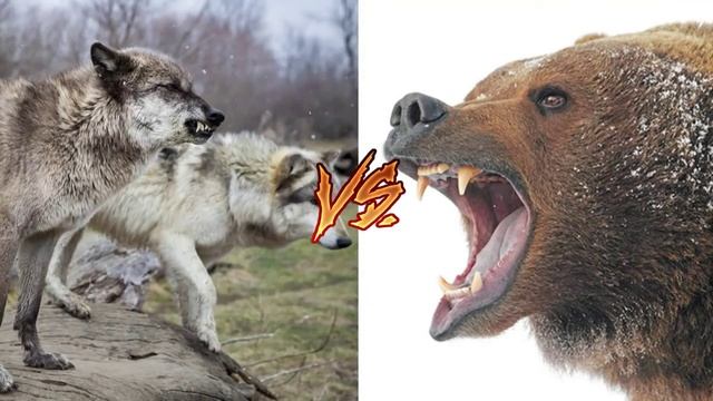 Как покупал сабвуфер смотреть онлайн