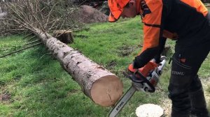 Stihl MS 251