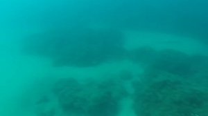 Spearfishing israel free .подводная охота в израиле.2016