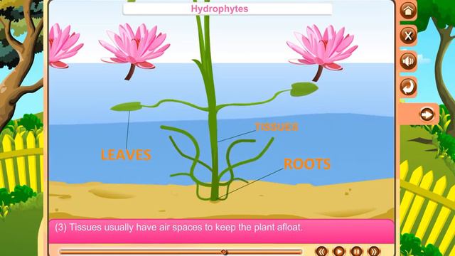 AB 205 ORBIT 6 SCIENCE IN EVERYDAY LIFE смотреть онлайн