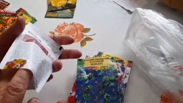 Цветы, которые я посеяла с картинками// смотреть онлайн