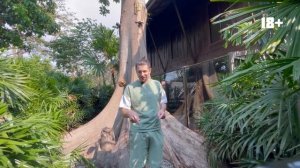 НОЧНАЯ ЖИЗНЬ В ПАТТАЙЯ 2023 ТАЙЛАНД | Ночные клубы Паттайя