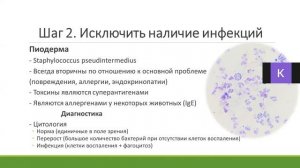 Диагностика аллергии у животных.