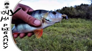 Опять ультралайт спасает рыбалку. Окунь и щука на микро джиг. Новый спиннинг от Smart. 05.09.2019