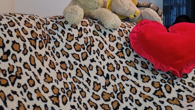 Духи для собак и кошек смотреть онлайн