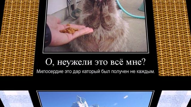 Позитивные мотиваторы о жизни. Красивые картинки про любовь и жизнь