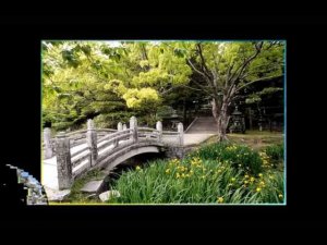 Экологически чистые страны мира