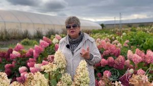 РУССКАЯ СЕНСАЦИЯ В МИРЕ ГОРТЕНЗИЙ | НОВИНКИ ГОРТЕНЗИИ 2024 ГОДА