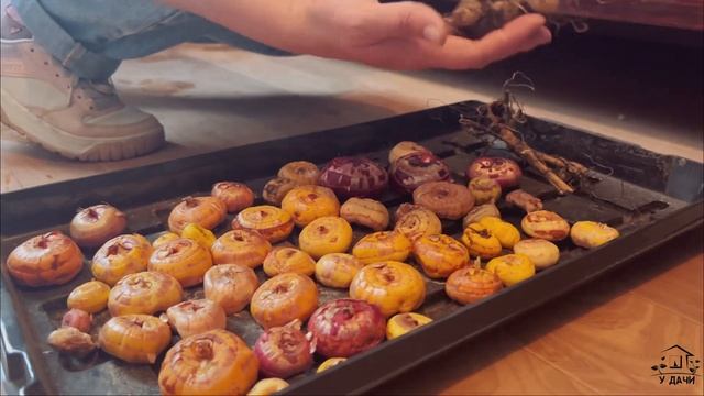 Семена на сезон 2024 | Готовимся с осени | Квартирная оранжерея! смотреть онлайн