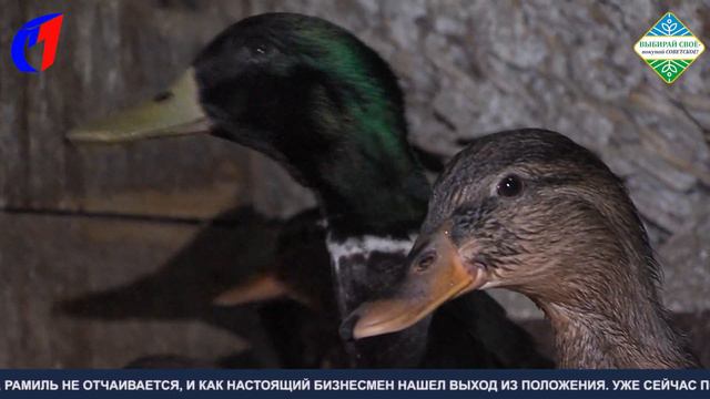 Сменить вид деятельности, но не оставить бизнес. ТК «Первый Советский» смотреть онлайн