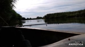 Рыбалка. Калачёвский р. Волгоградская обл.  река Карповка.
