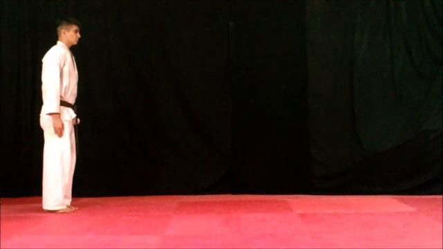 ( Shin ryu no kata )  Nippon kempo 日本拳法 Ниппон кэмпо