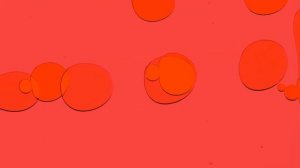 Капсулы "СЮЭЧИНФУ ФОХОУ" Fohow