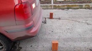 Камера заднего вида в подсветку номера VW (обзор пользователя)