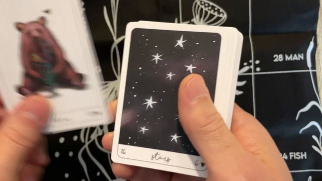 Terra Lenormand - Review