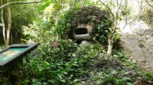 Джунгли Янода на Хайнани, Китай. Подробный обзор экскурсии и атракционов, их стоимость.