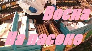 Зимовка пчел закончилась.Покупка пчелопакетов и Перевозка кочёвка пчел Горячий Ключ Волгодонск.
