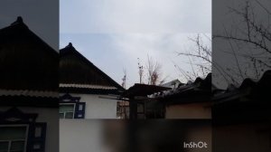 Как сделать шест для ловли птиц.Ловля птиц на клетку.