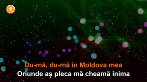 Ana Barbu: "Du-mă în Moldova mea".