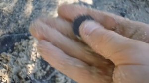 В поисках золота на пляже с Garrett ACE 250 / КЛАДОИСКАТЕЛИ