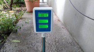 Персик Харроу Даймонд