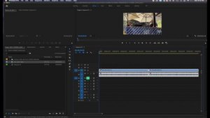 ADOBE PREMIERE EXPORT AAF FOR AUDIO POST