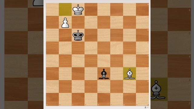 Одноцветные слоны смотреть онлайн