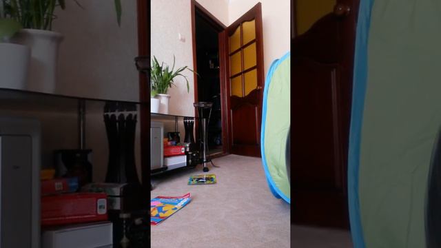 Что нельзя трогать, а что можно смотреть онлайн