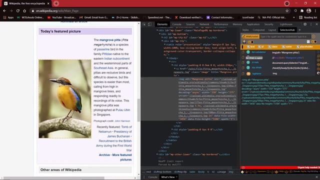 How to Scroll Webpages using RobotFramework || Selenium Library