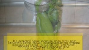 Квашенный (моченный) острый перец – цицак на зиму.