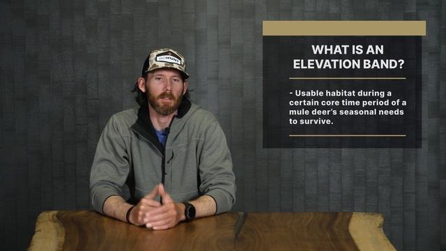 BEST Mule Deer Habitat смотреть онлайн