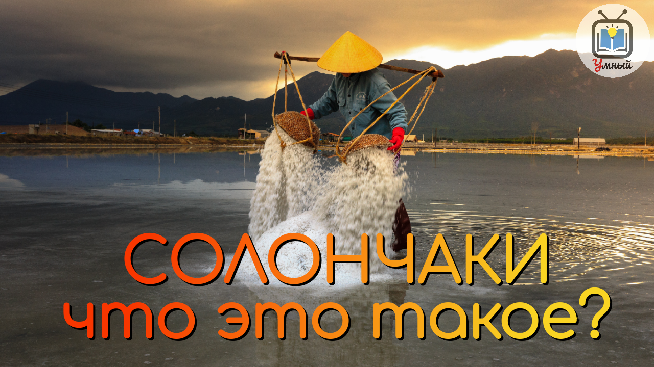 Солончак, что это такое?