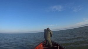 Промысловая рыбалка на Каспийском море. Кизляр, Дагестан.