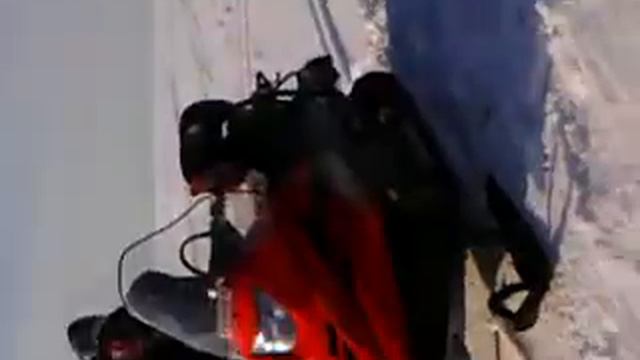 Охота на волков смотреть онлайн