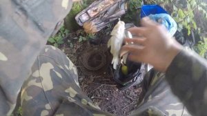 Охота на Карпа и Сазана Ранним Утром. Варёная картошка. Нерест рыбы