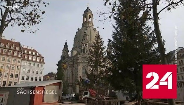 В Дрездене не смогли раздобыть красивые рождественские елки - Россия 24