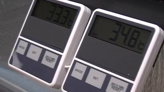 Алфа. Надежный партнер.avi смотреть онлайн